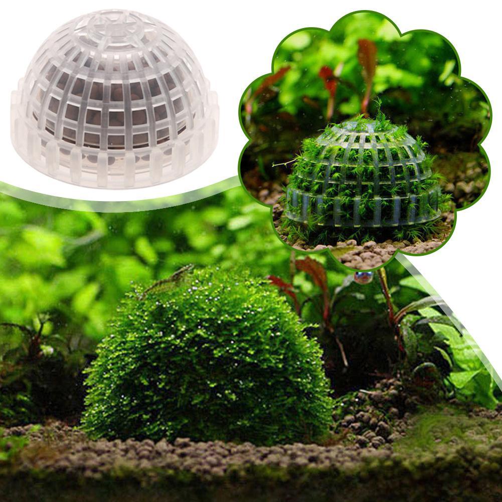 Aquarium Plant Red - Rośliny dekoracyjne do akwarium, biologiczny uchwyt