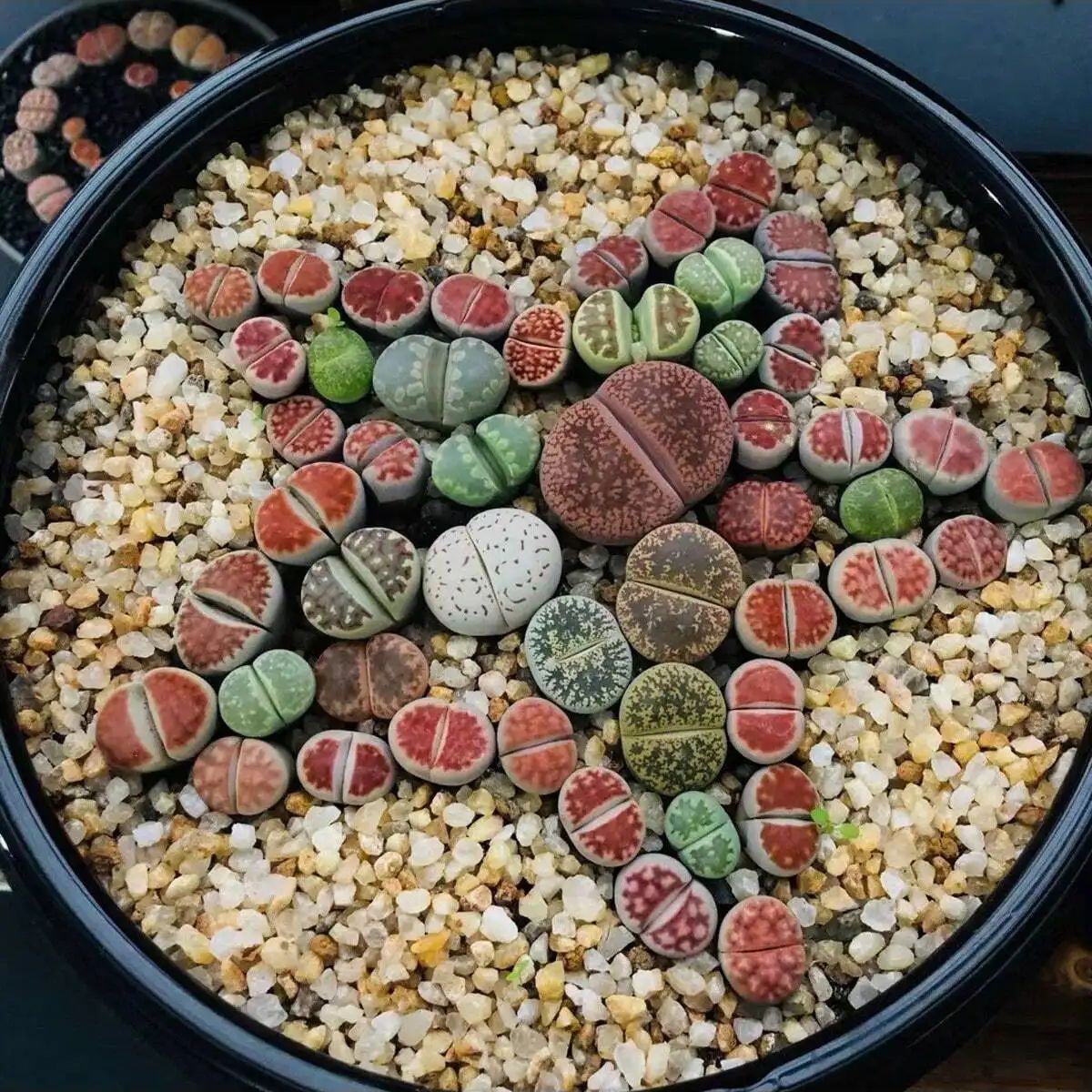 1szt-250g Naturalne kryształy  – Aquarium Planted Sand recenzja i cena