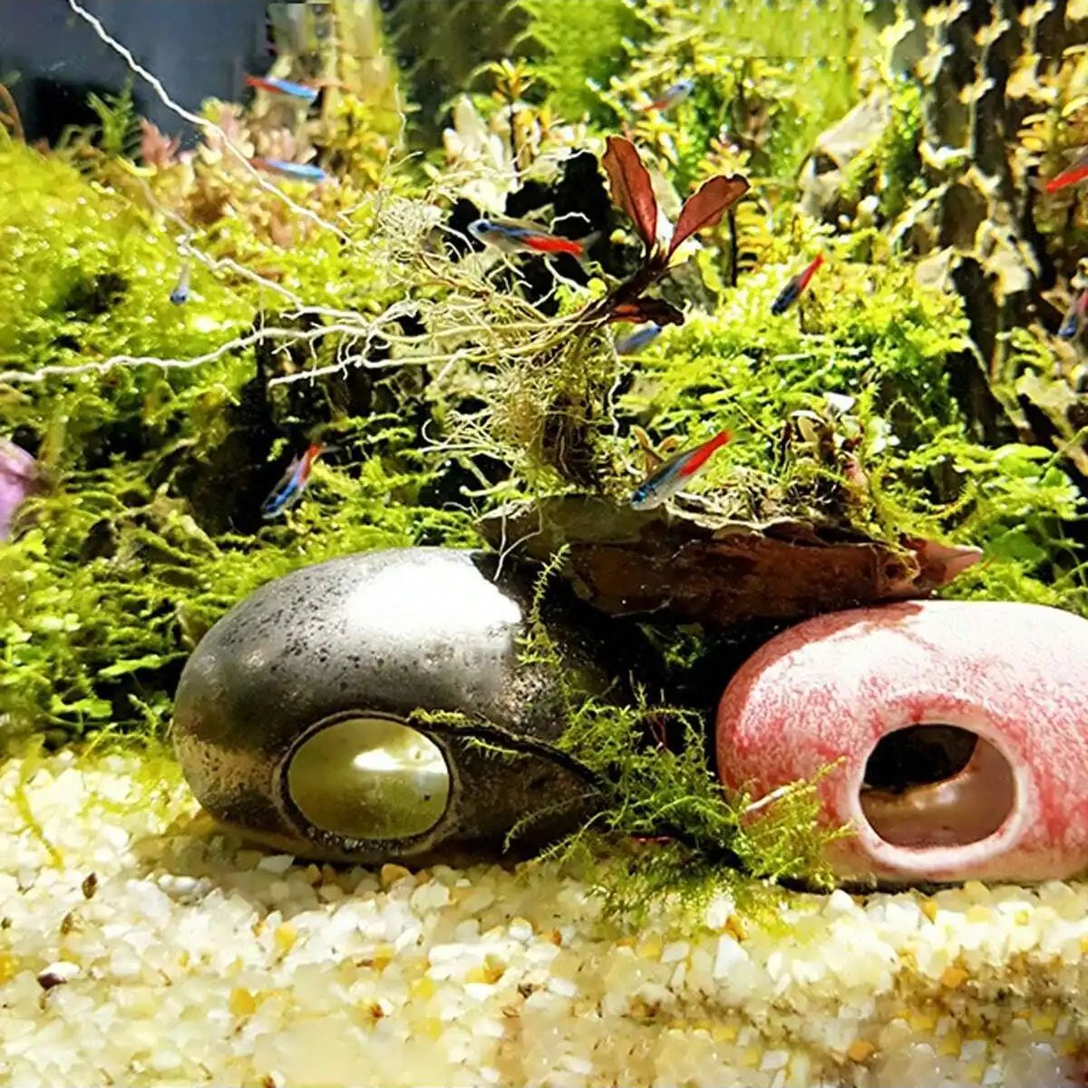 1szt-250g Naturalne kryształy  – Aquarium Planted Sand recenzja i cena