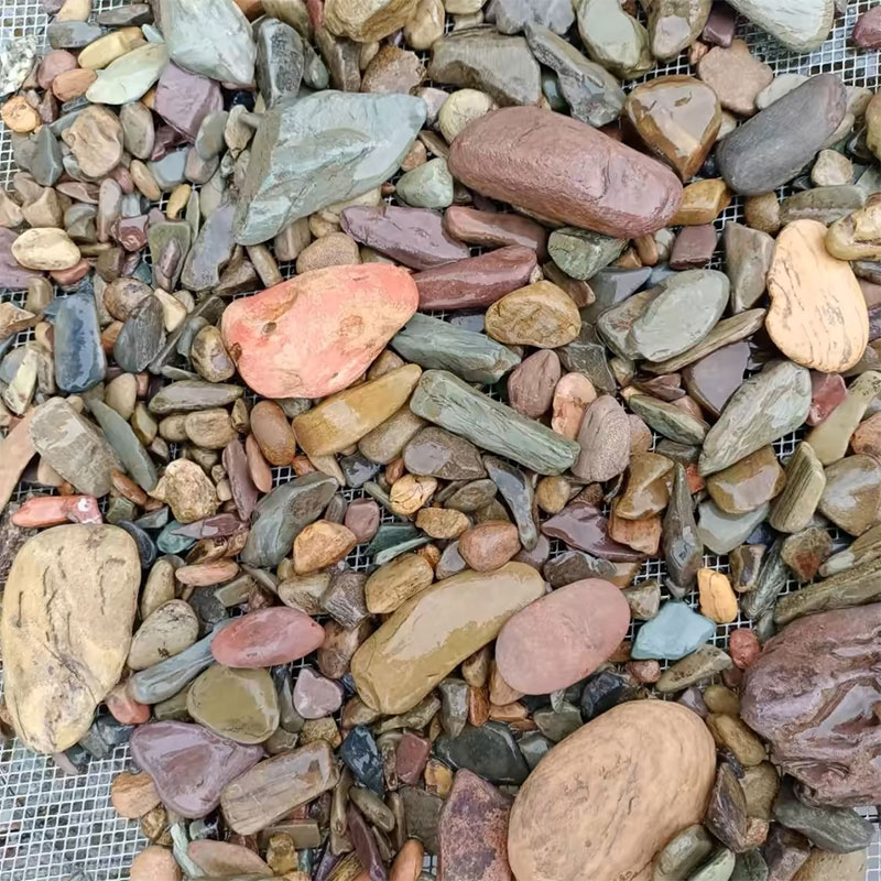 500g Akwarium Dno Akwarium Kam – Aquarium Planted Sand recenzja i cena