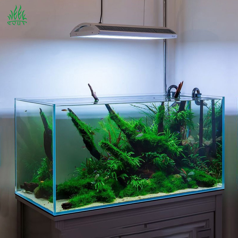 Week Aqua A430Pro LED Lampa Ak – Planted Aquarium Uv Light recenzja i cena