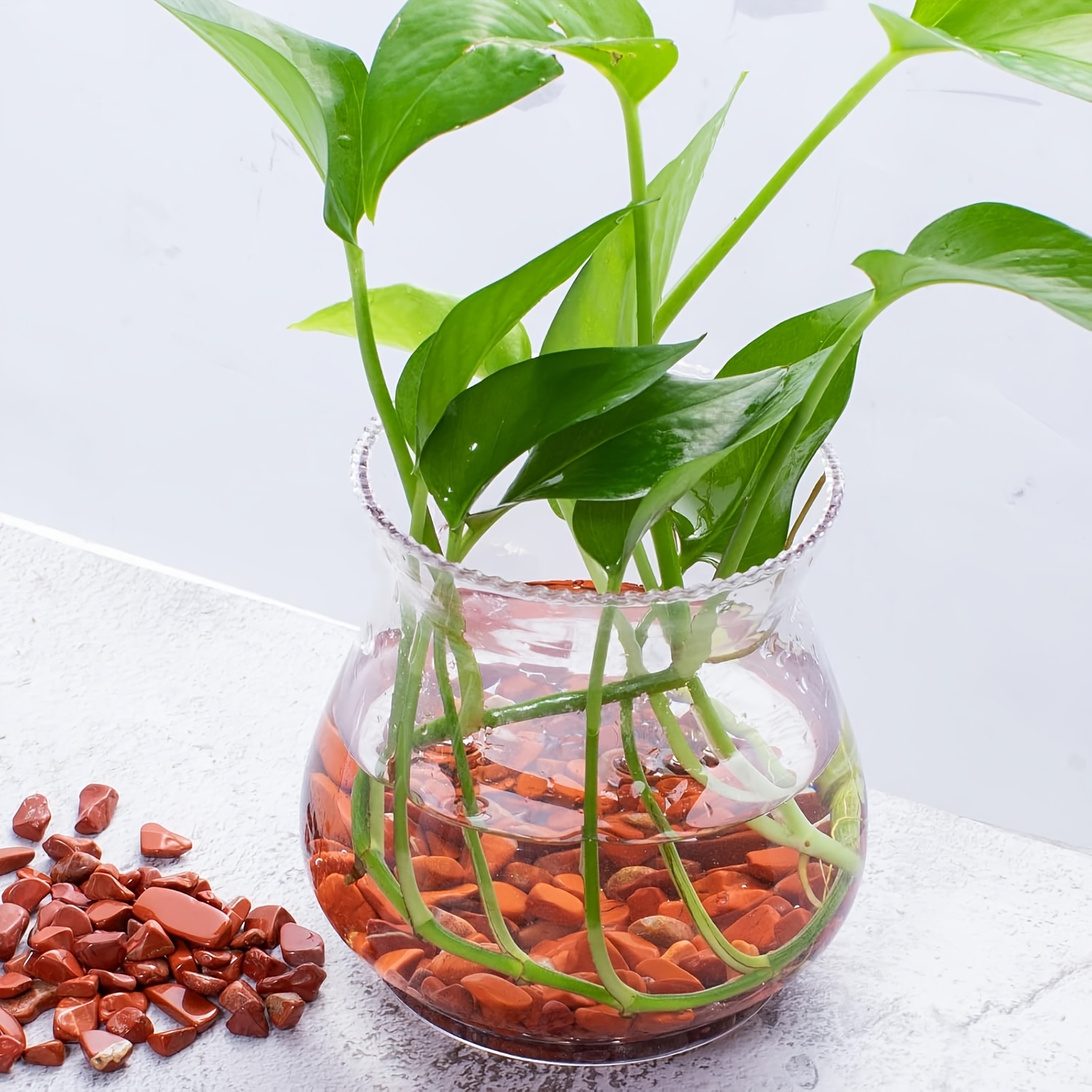 Kamień jaspisu czerwonego - na – Aquarium Plant Red recenzja i cena