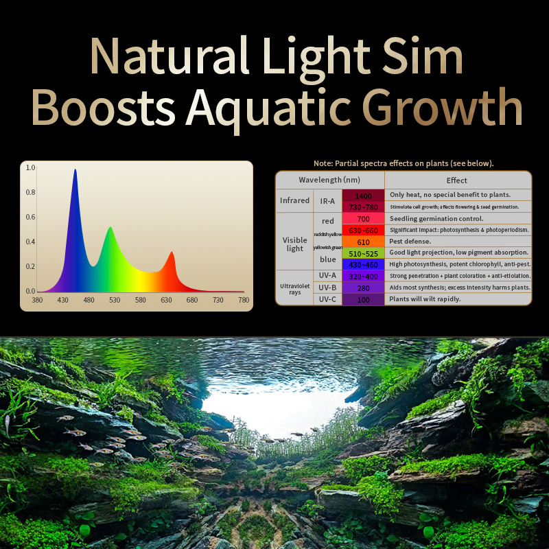 KASSRAY T200/T300 IR-A+UV Natu – Planted Aquarium Uv Light recenzja i cena