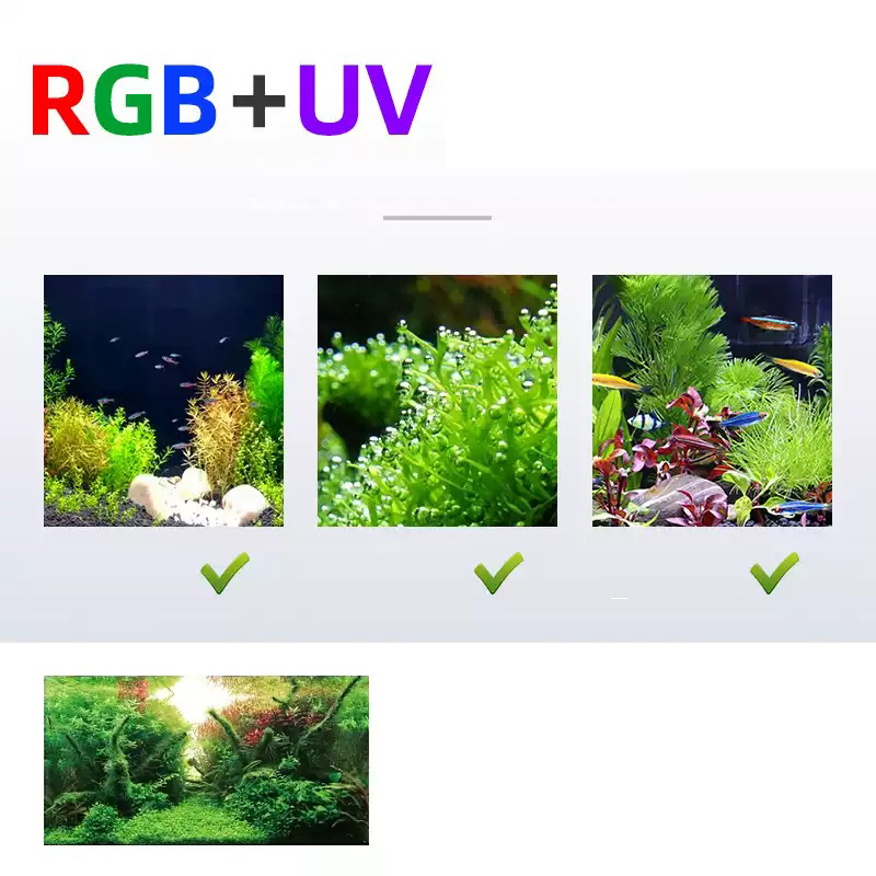 Week Aqua L Series WRGB UV Ful – Planted Aquarium Uv Light recenzja i cena