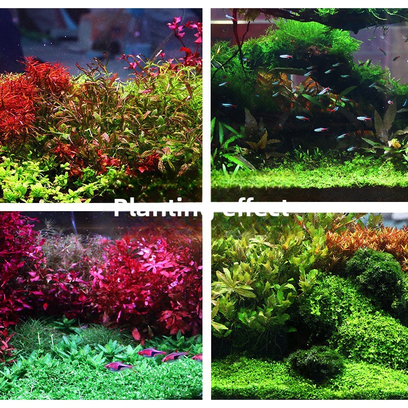 SYSENCIAGA Substrat do akwariu – Aquarium Planted Sand recenzja i cena