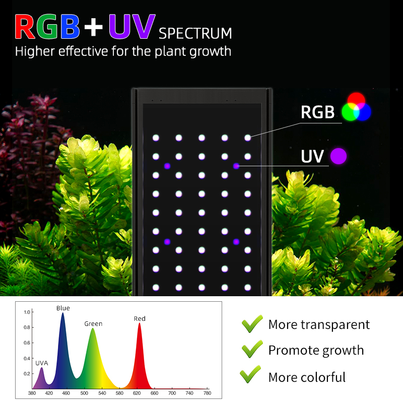 WEEK AQUA Pandora P Series Aqu – Planted Aquarium Uv Light recenzja i cena