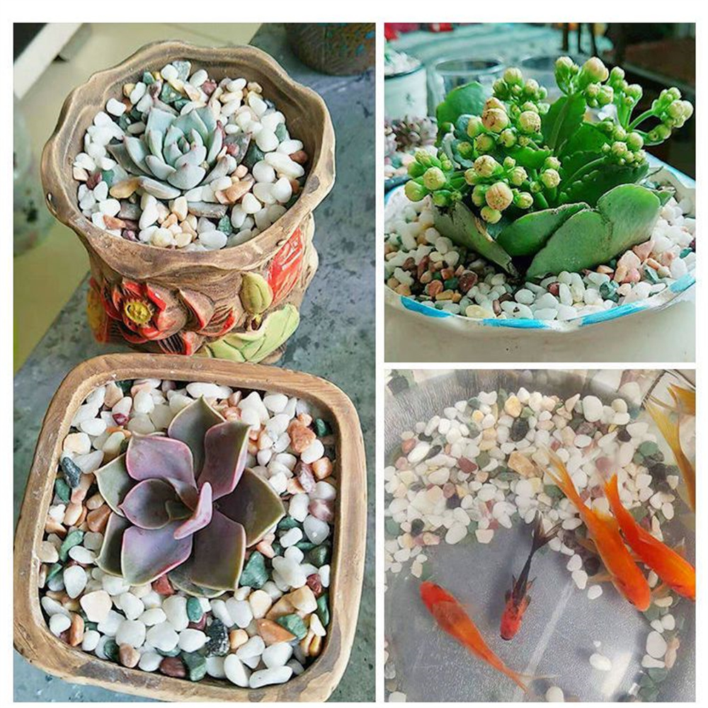50/100g Naturalne kryształy Żw – Aquarium Planted Sand recenzja i cena