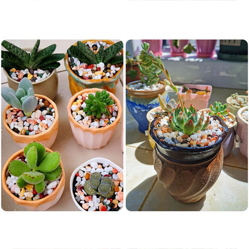Naturalny żwir kamieniany 200~ – Aquarium Planted Sand recenzja i cena