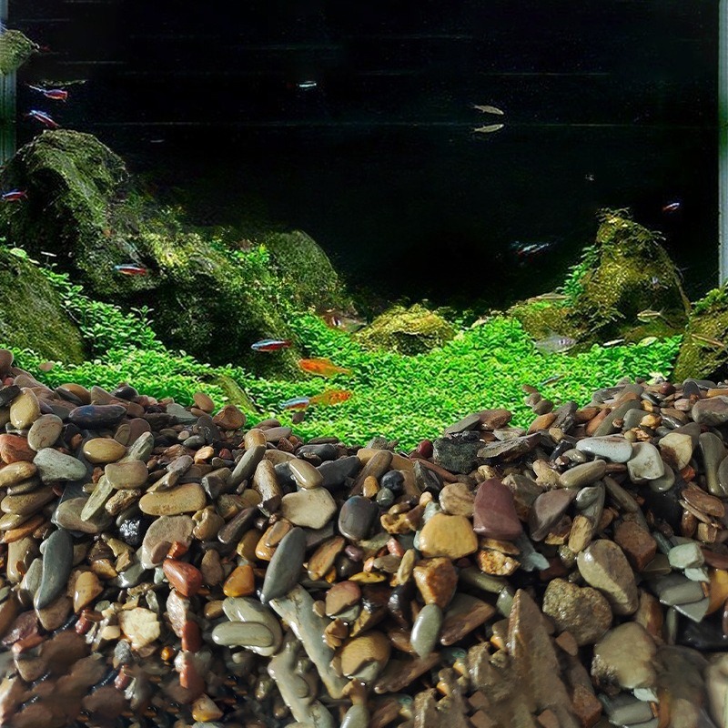 Kamienie rzeczne do akwarium,  – Aquarium Planted Sand recenzja i cena