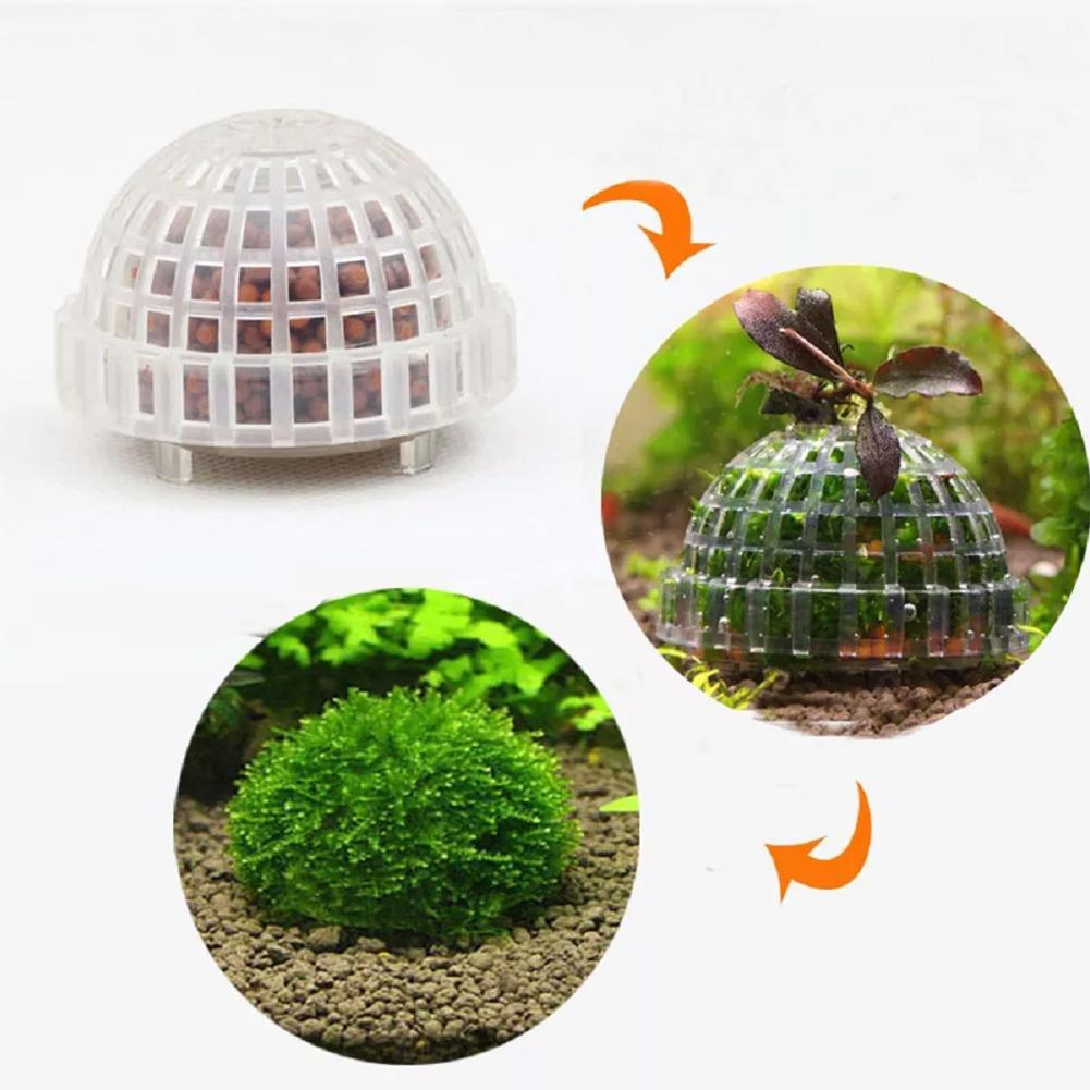 Rośliny dekoracyjne do akwariu – Aquarium Plant Red recenzja i cena
