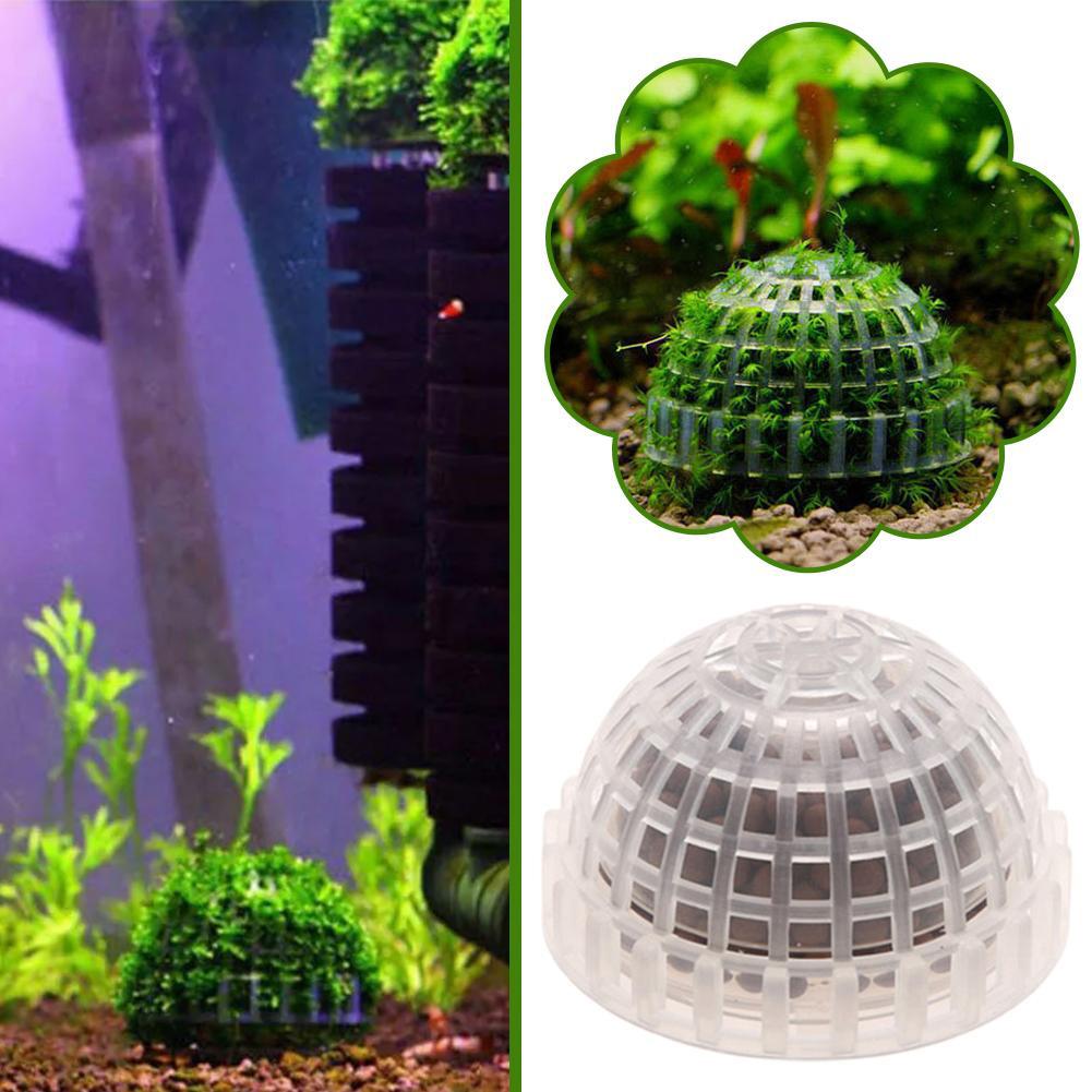 Rośliny dekoracyjne do akwariu – Aquarium Plant Red recenzja i cena
