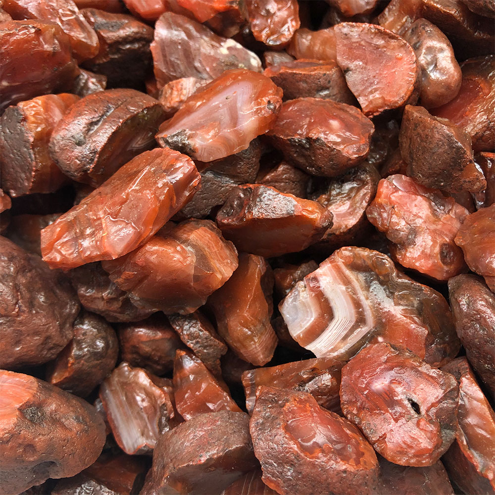 1szt Losowy szorstki surowy ka – Aquarium Plant Red recenzja i cena