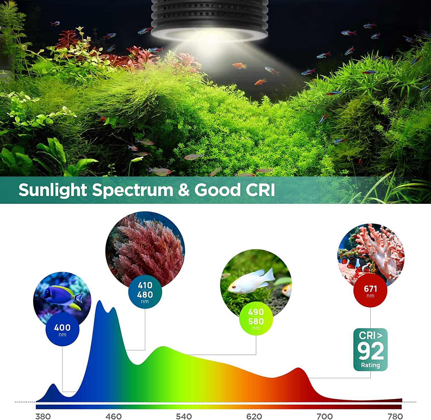 Lominie Asta 20 słodkowodne 18 – Planted Aquarium Uv Light recenzja i cena